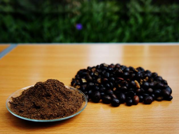 Palm Kernel Expeller