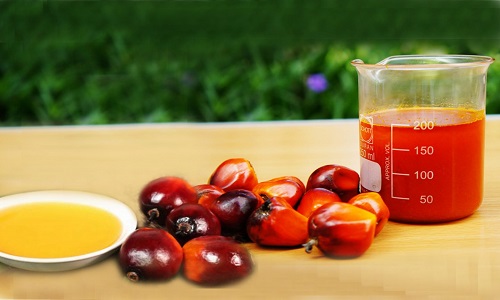 Crude Palm Oil